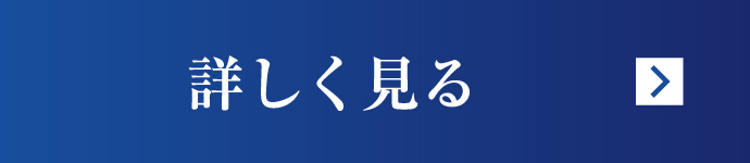 詳しく見る